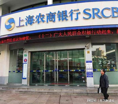 19宗罪 领千万级罚单 上海农商行发生了什么