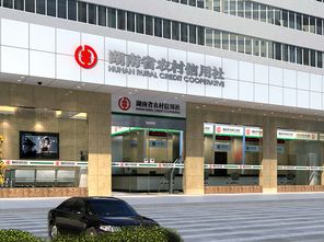 2018湖南农信社 农商行 培训暑假班开课